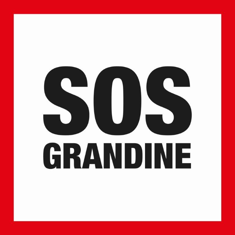 logo_sosgrandine_2013